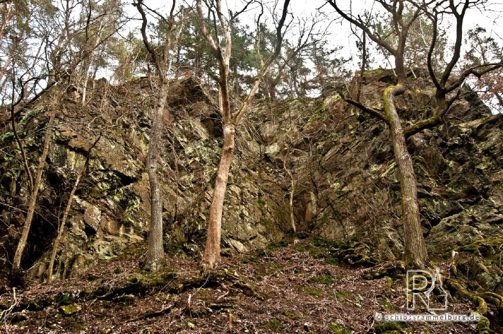 Gestein des Schlossberges